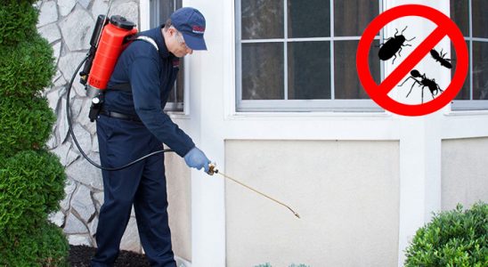 Üsküdar Karınca İlaçlama böcek ilaçlama ve haşere kontrolü — ilaclama-tr.com